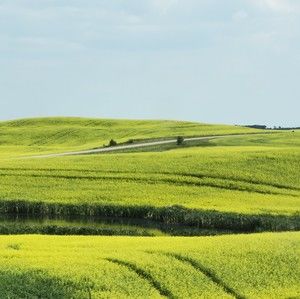 Meet your Posher, Yiu